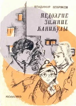 Владимир Добряков Недолгие зимние каникулы обложка книги