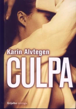 Karin Alvtegen Culpa обложка книги