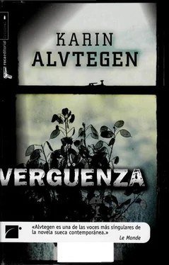 Karin Alvtegen Vergüenza обложка книги