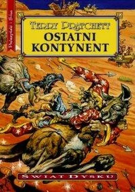 Terry Pratchett Ostatni kontynent обложка книги