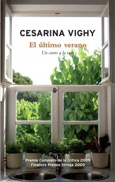 Cesarina Vighy El último verano обложка книги