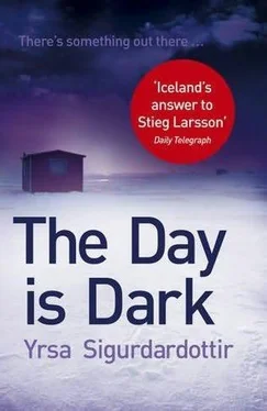 Yrsa Sigurdardóttir The Day Is Dark обложка книги