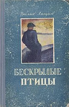 Вилис Лацис Безкрылые птицы обложка книги