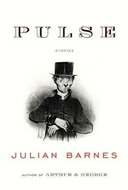 Julian Barnes Pulse обложка книги