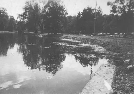 El parque cerca de casa de Dumont en Nueva Jersey donde Richard solía echar - фото 12