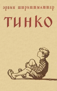 Эрвин Штриттматтер Тинко обложка книги