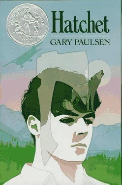 Gary Paulsen Hatchet обложка книги