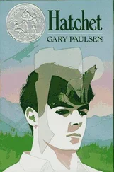 Gary Paulsen - Hatchet