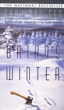 Gary Paulsen Brian's Winter обложка книги