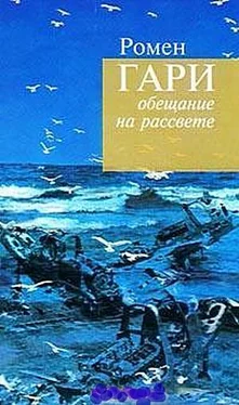 Ромен Гари Жители Земли обложка книги