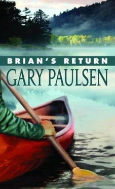 Gary Paulsen Brian's Return обложка книги