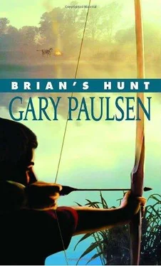 Gary Paulsen Brian's Hunt обложка книги