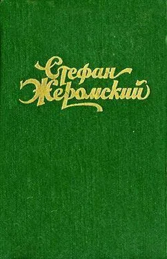 Стефан Жеромский Пепел обложка книги