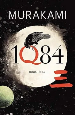 Харуки Мураками 1Q84. Книга 3. октябрь-декабрь обложка книги