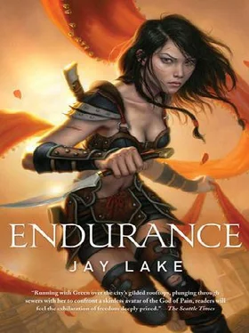 Jay Lake Endurance обложка книги