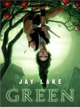 Jay Lake Green обложка книги