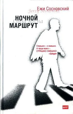 Ежи Сосновский Остановка обложка книги