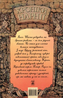 Люис Клайв Хроніки Нарнії: Кінь і хлопчик обложка книги