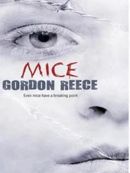 Gordon Reece - Mice