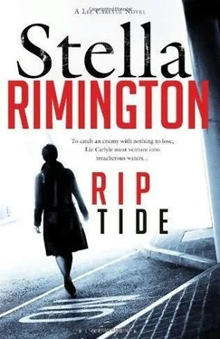 Stella Rimington Rip Tide обложка книги