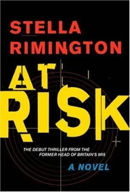 Stella Rimington At Risk обложка книги