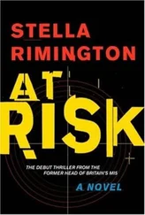 Stella Rimington - At Risk