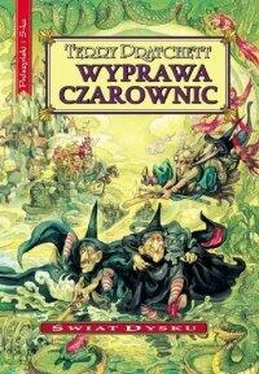 Terry Pratchett Wyprawa czarownic обложка книги