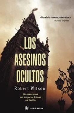 Robert Wilson Los asesinos ocultos обложка книги