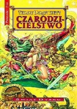 Terry Pratchett Czarodzicielstwo обложка книги