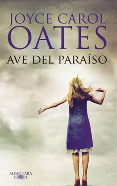 Joyce Oates Ave del paraíso обложка книги