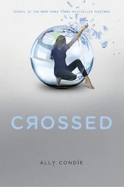 Ally Condie Crossed обложка книги