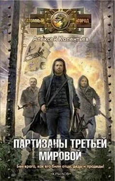 Алексей Колентьев Партизаны третьей мировой обложка книги