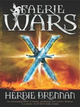 Herbie Brennan Faerie Wars обложка книги