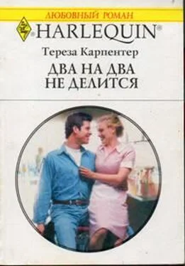 Тереза Карпентер Два на два не делится обложка книги