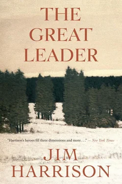 Jim Harrison The Great Leader обложка книги