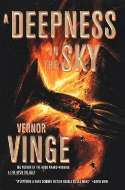 Vernor Vinge A Deepness in the Sky обложка книги