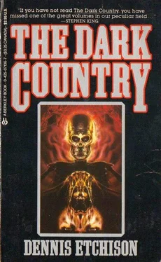 Dennis Etchison The Dark Country обложка книги