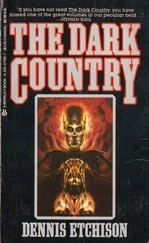 Dennis Etchison - The Dark Country
