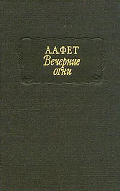 Афанасий Фет Вечерние огни обложка книги