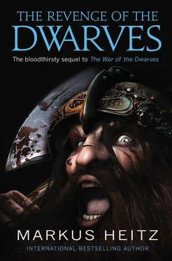 Markus Heitz The Revenge of the Dwarves обложка книги