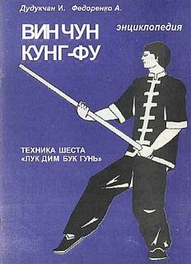 И. Дудукчан Энциклопедия ВИН ЧУН КУНГ-ФУ . Кн. 5. Техника шеста Лук Дим Бук Гунь обложка книги