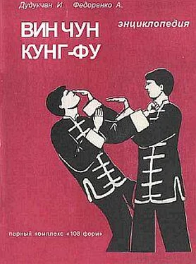 И. Дудукчан Энциклопедия ВИН ЧУН КУНГ-ФУ. Кн.3. Парный комплекс 108 форм обложка книги