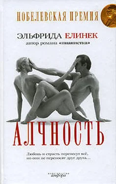 Эльфрида Елинек Алчность обложка книги