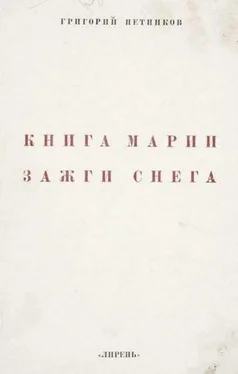 Григорий Петников Книга Марии Зажги Снега обложка книги