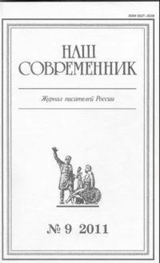 Станислав Куняев “Ты, жгучий отпрыск Аввакума...” обложка книги