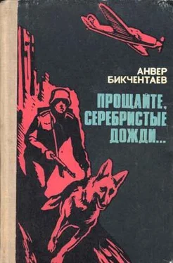 Анвер Бикчентаев Прощайте, серебристые дожди... обложка книги