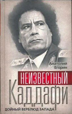 Анатолий Егорин Неизвестный Каддафи: братский вождь обложка книги