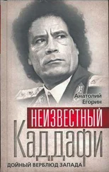 Анатолий Егорин - Неизвестный Каддафи - братский вождь