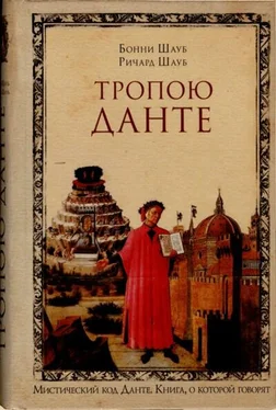 Бонни Шауб Тропою Данте обложка книги