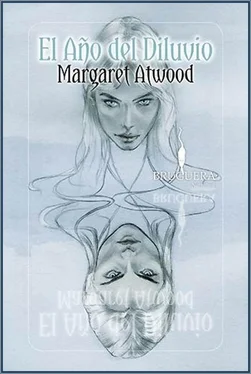 Margaret Atwood El Año del Diluvio обложка книги